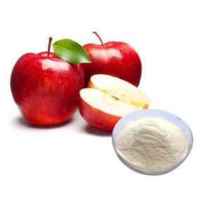 tradex-apple-powder-extracts-no-sugar-added-500gm