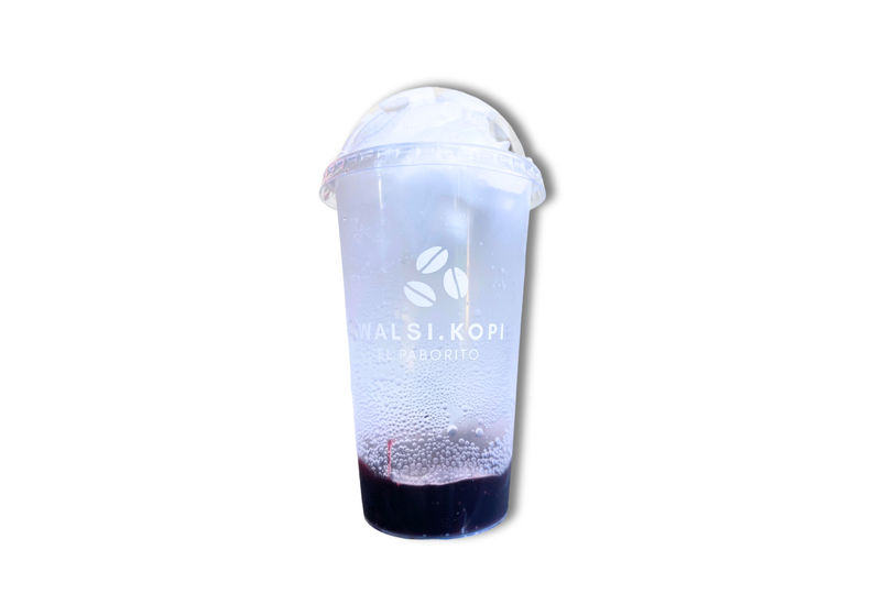 Plum Soda Float