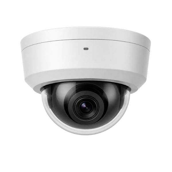AI Video Verification