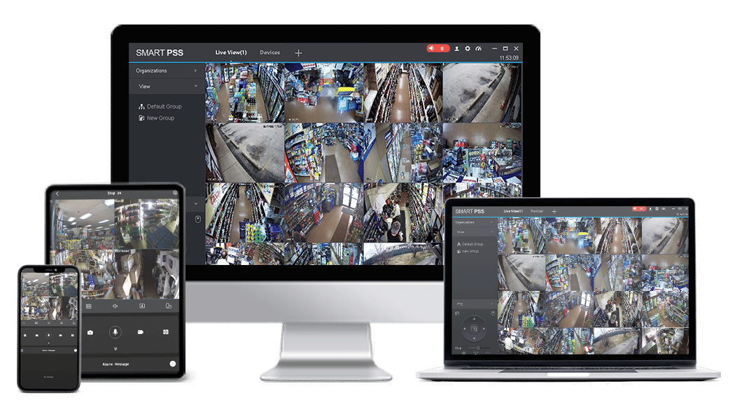Professional Video Surveillance System