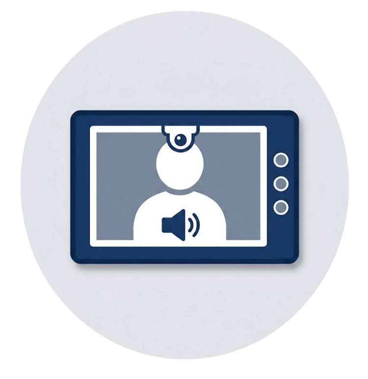 Audio Video Verification