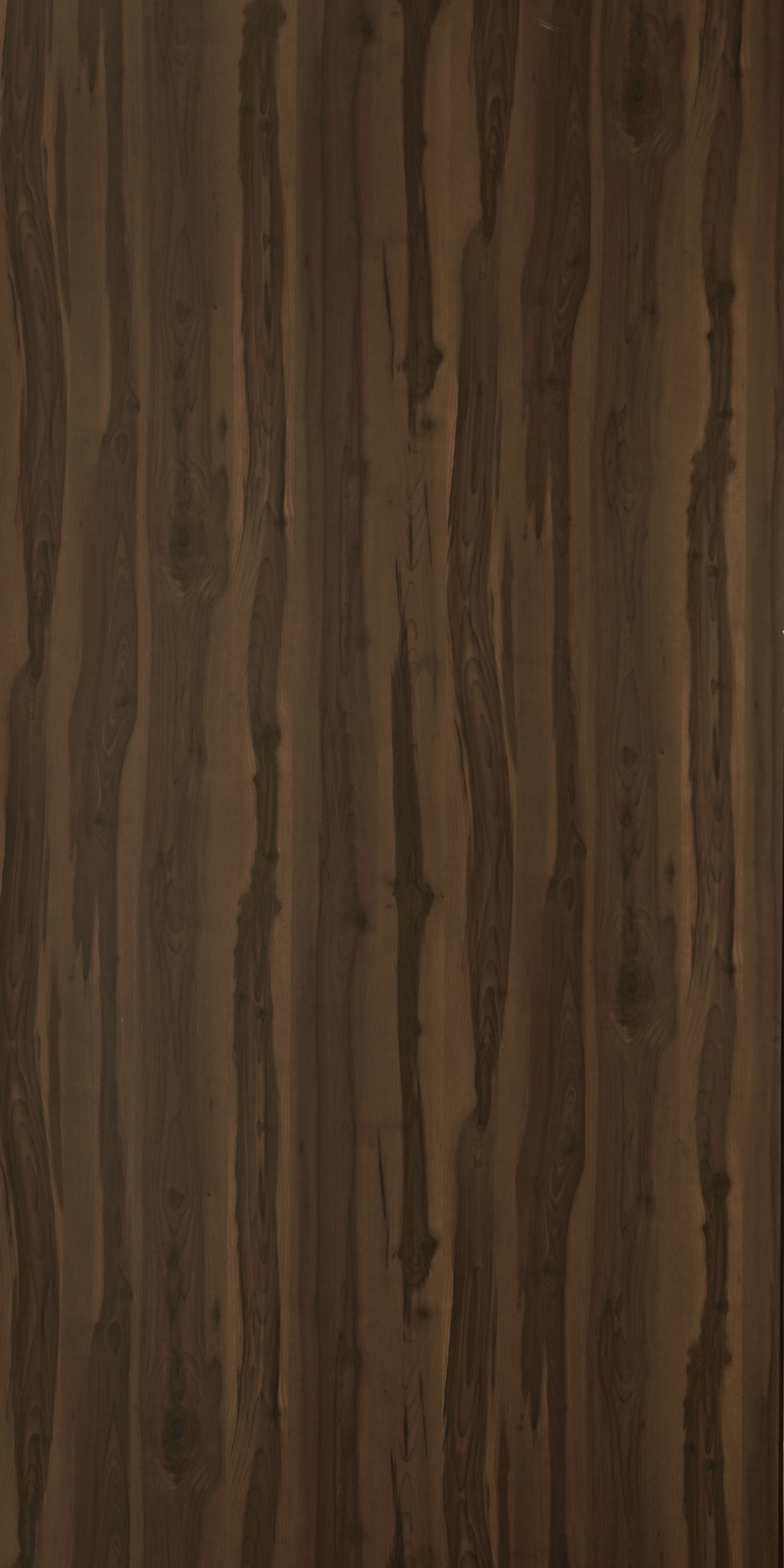 Wood Laminate - LS 1414 | High Pressure Laminates | Decorative Laminate Sheets Wood Laminate - LS 1414 | High Pressure Laminates | Decorative Laminate Sheets