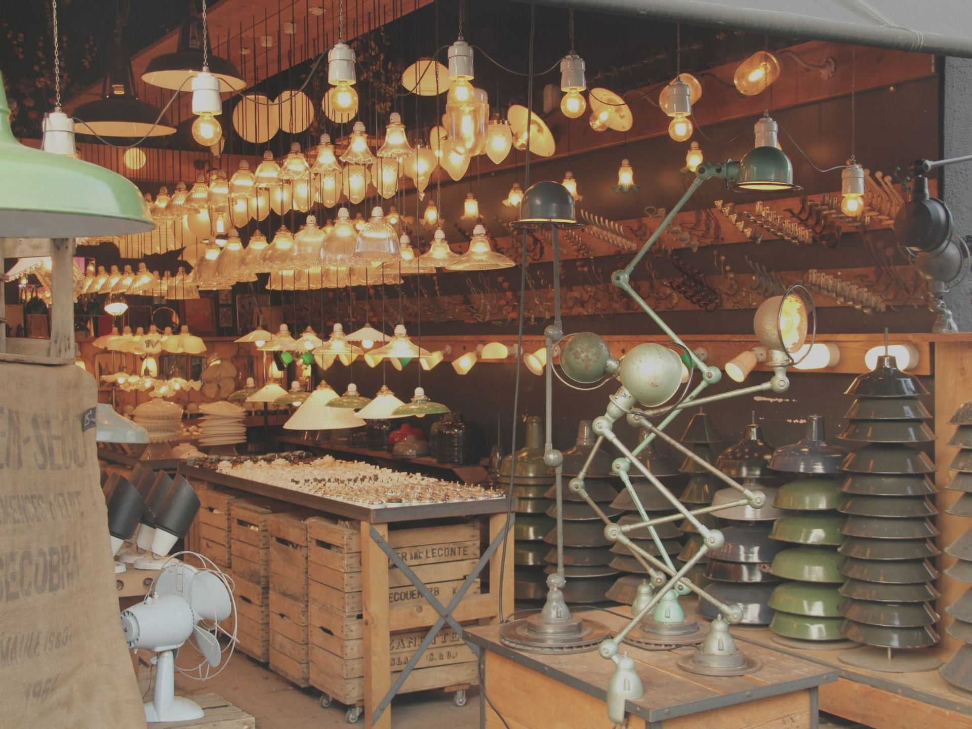 I’m Annie, and I have an art degree.