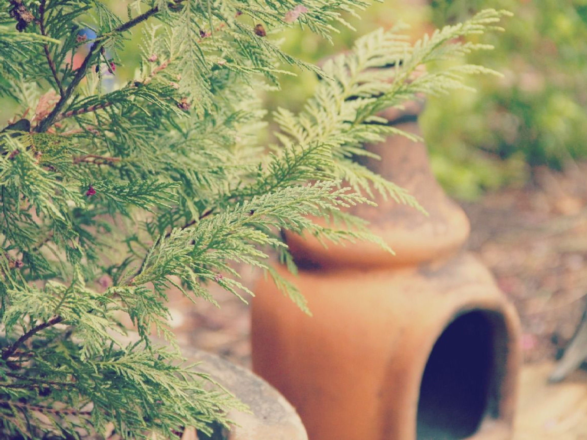 How I Learned Red, Green, Refactor from Airbnb