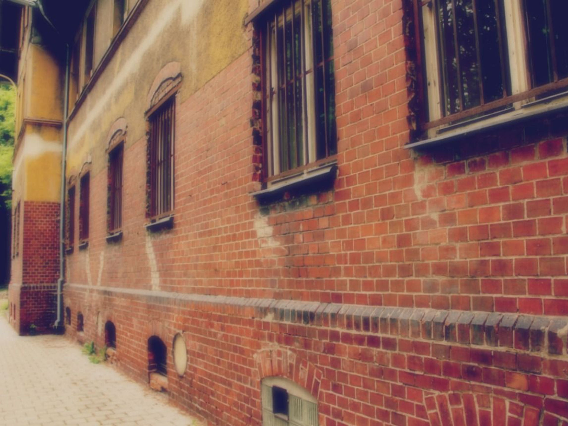 InSpec Basics: Day 6 - Ways to Run It and Places to Store It