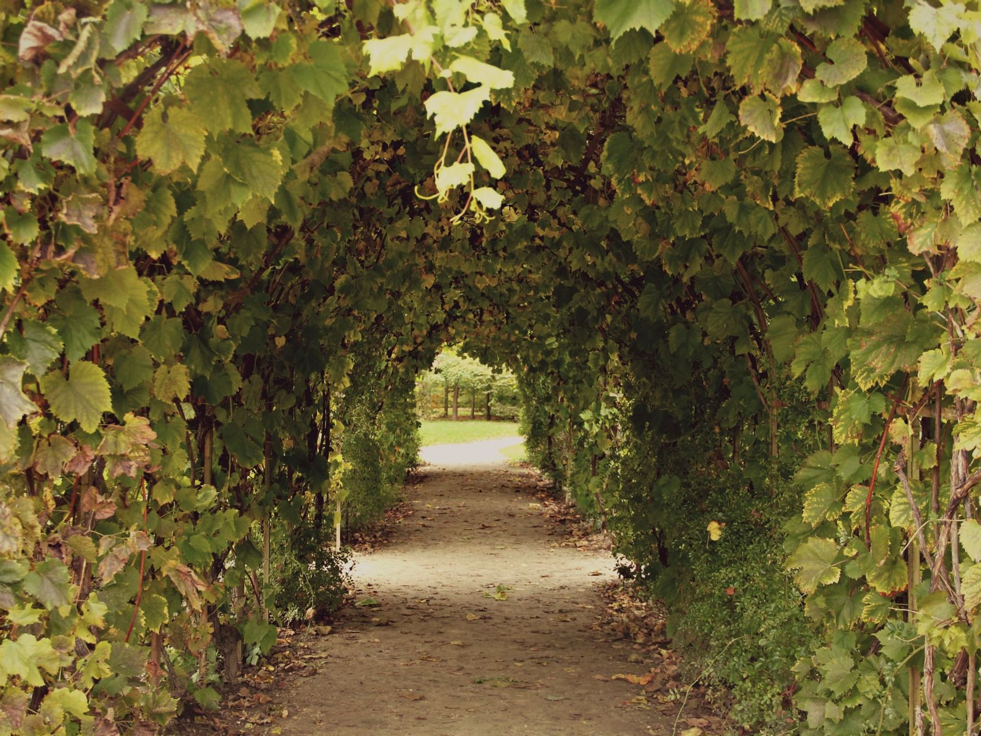 InSpec Basics: Day 10 - Attributes with Environment Variables