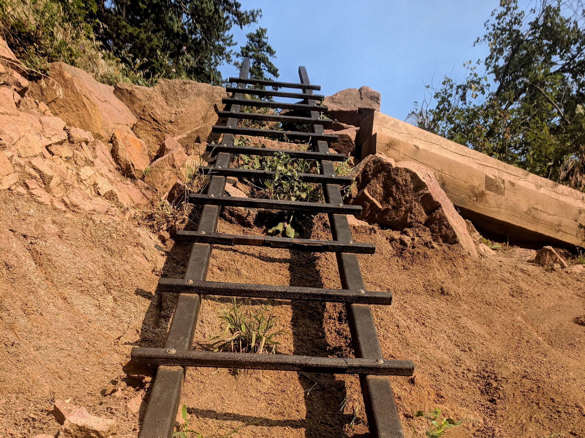 Working Assumptions: Hybrid Professionals