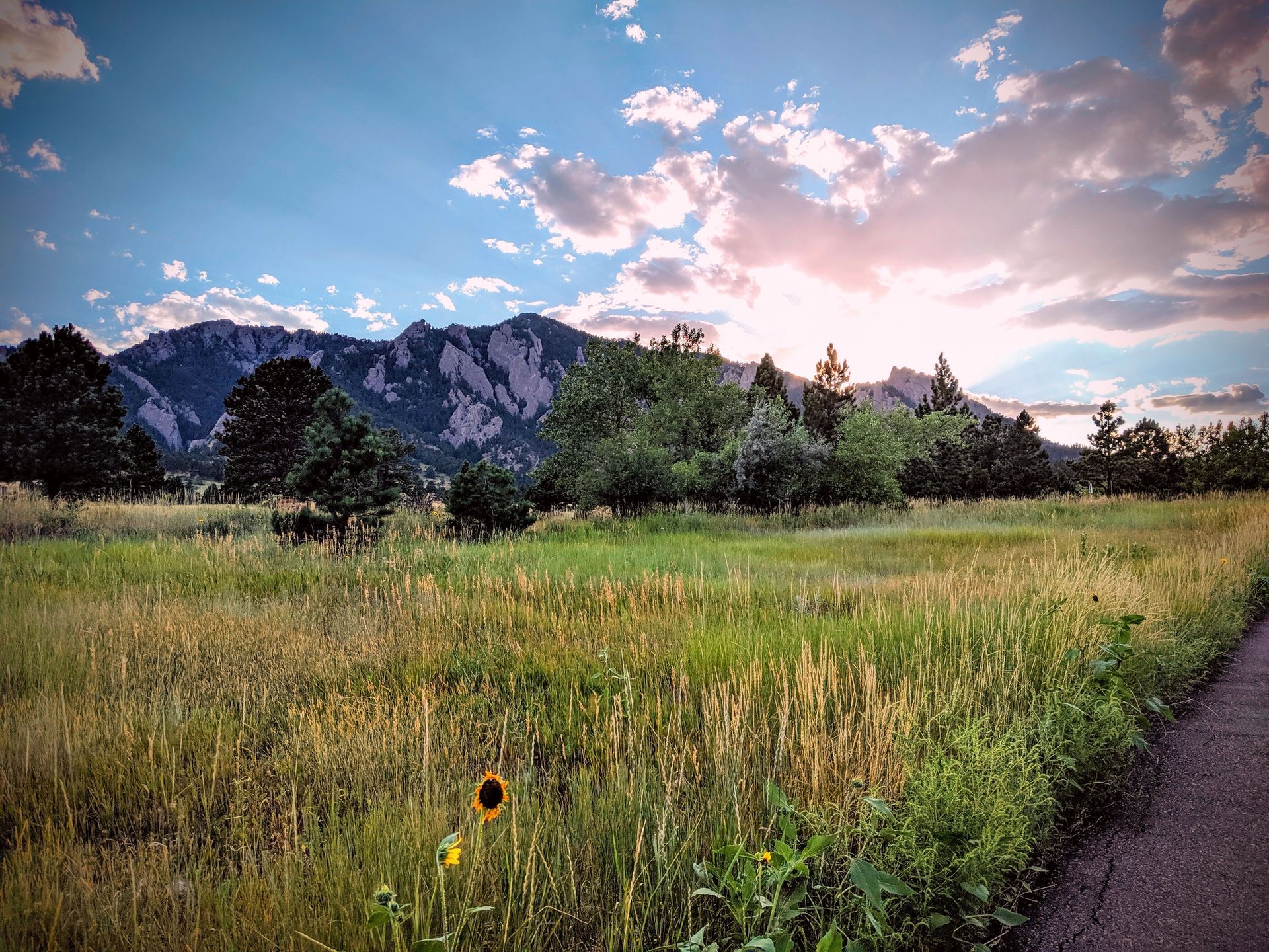 Working Assumptions: One On Ones