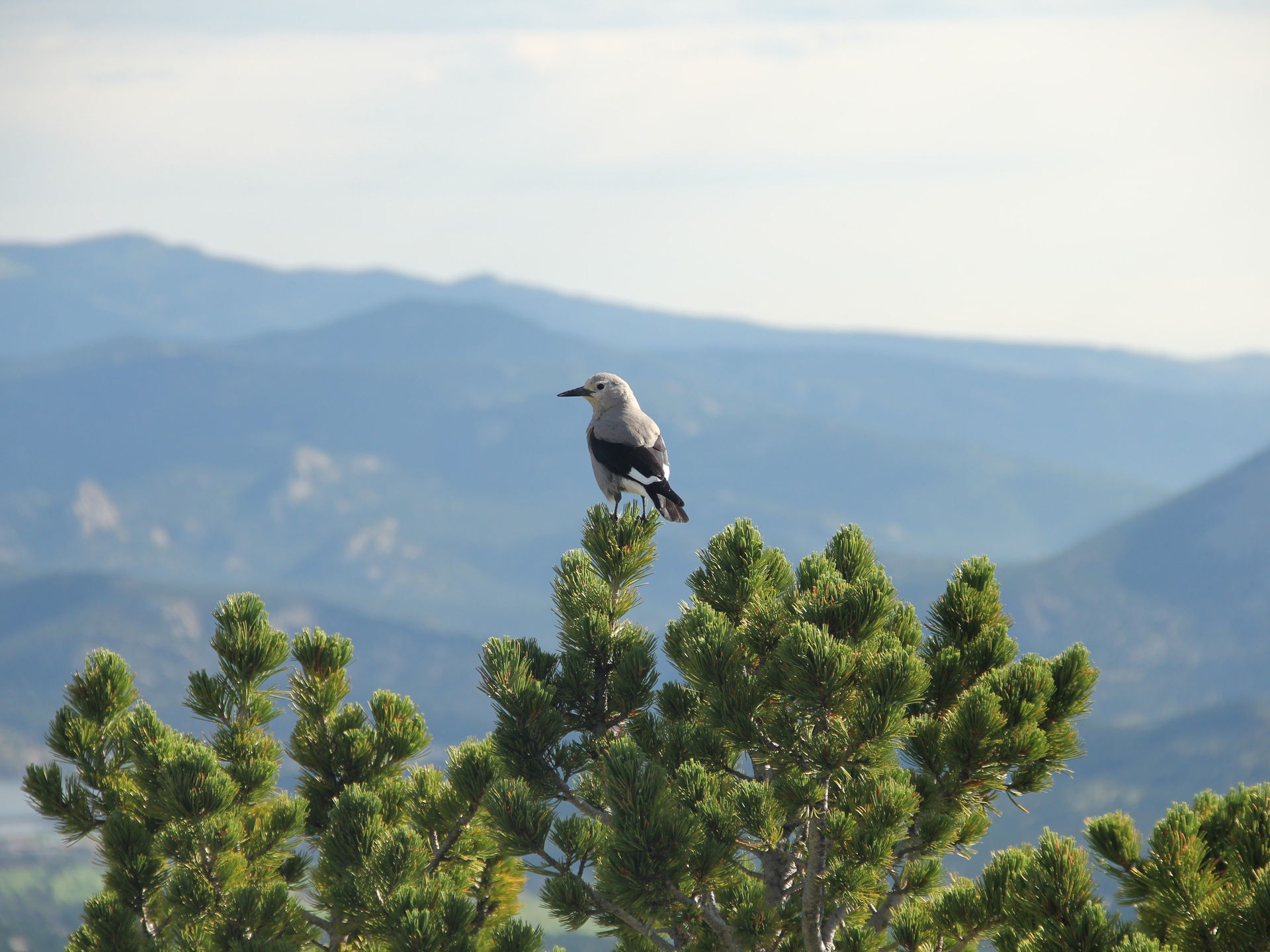 Working Assumptions: Performance Reviews