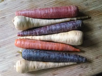 Four Questions for Product Management