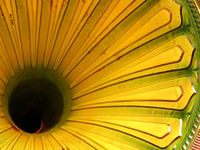 Funnel