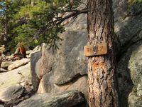 When Preparation Meets Opportunity