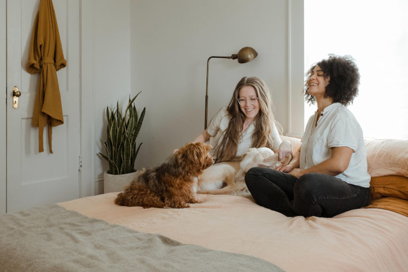 Government First Homes Scheme: Your step onto the property ladder