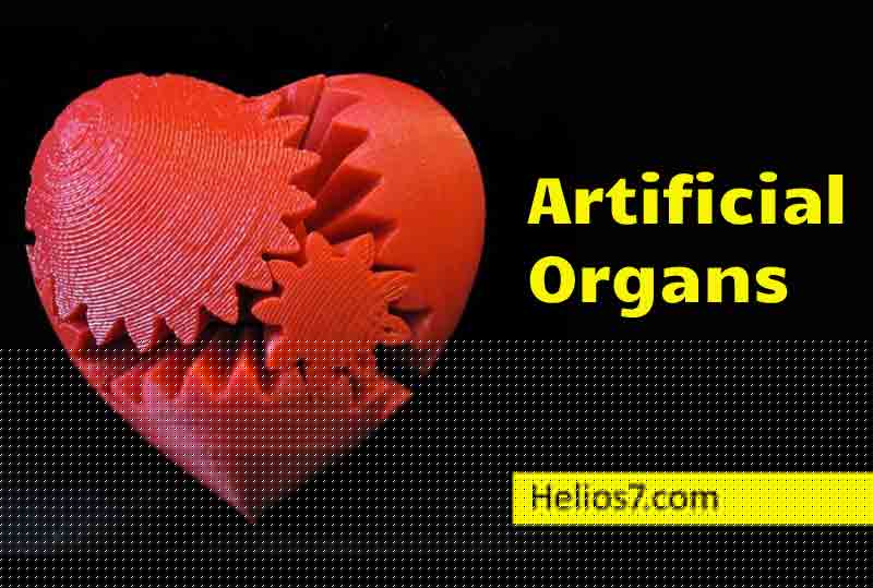 artificial-organs artificial organs