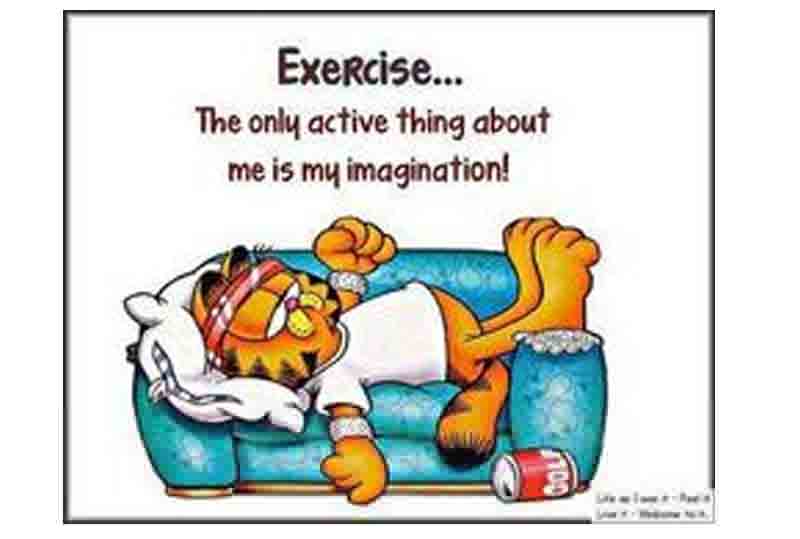 garfield-excercise fitness trackers accuracy