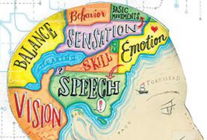 human-sense human senses
