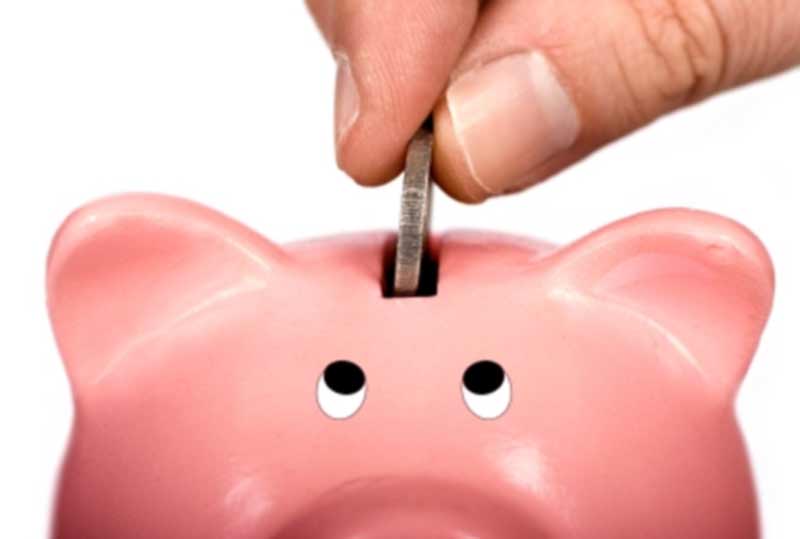 piggy-bank piggy bank