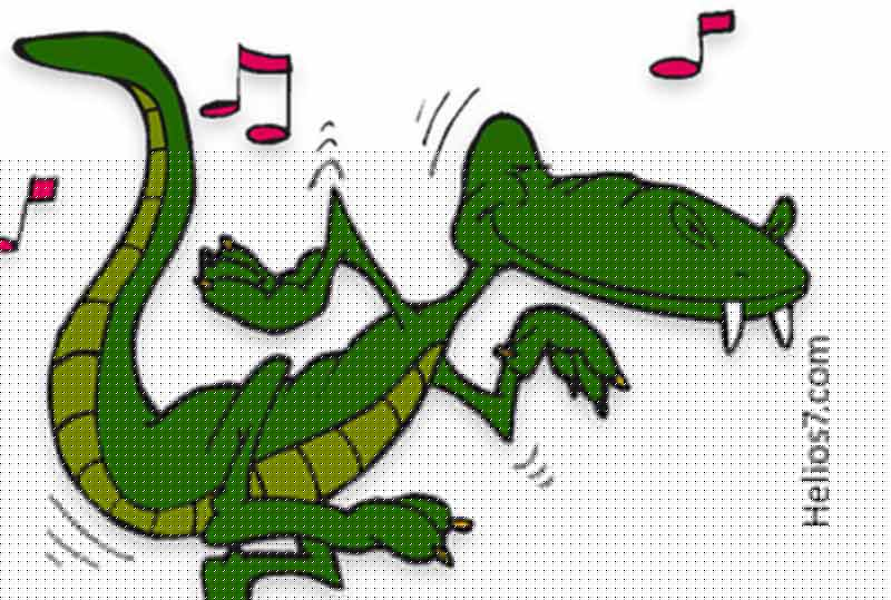 music-croc music croc