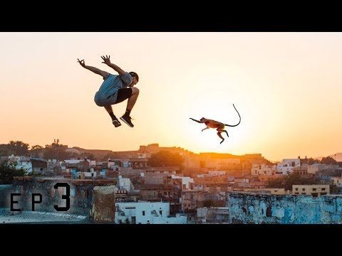 parkour-vs-monkeys parkour monkeys