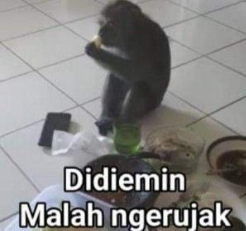 Daftar di RUDALHOKI DAFTAR Resmi dengan Proses Cepat