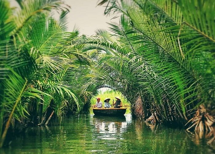 Nipa palm farmer harvesting coconut flower nectar