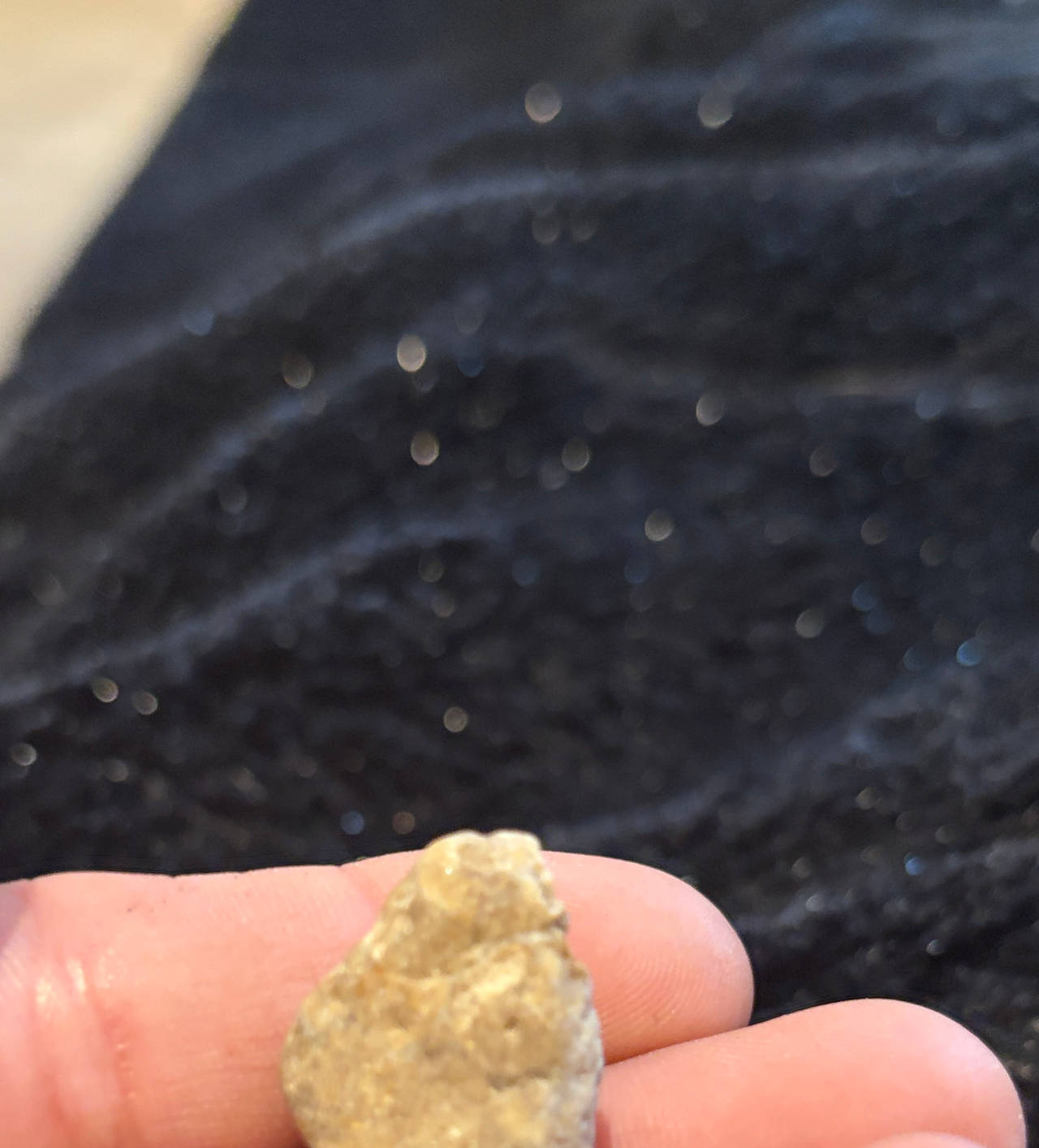 Native American Arrowhead Artifact