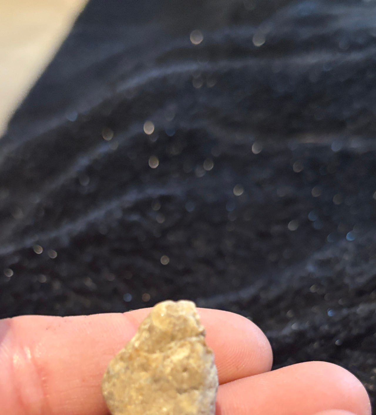 Native American Arrowhead Artifact