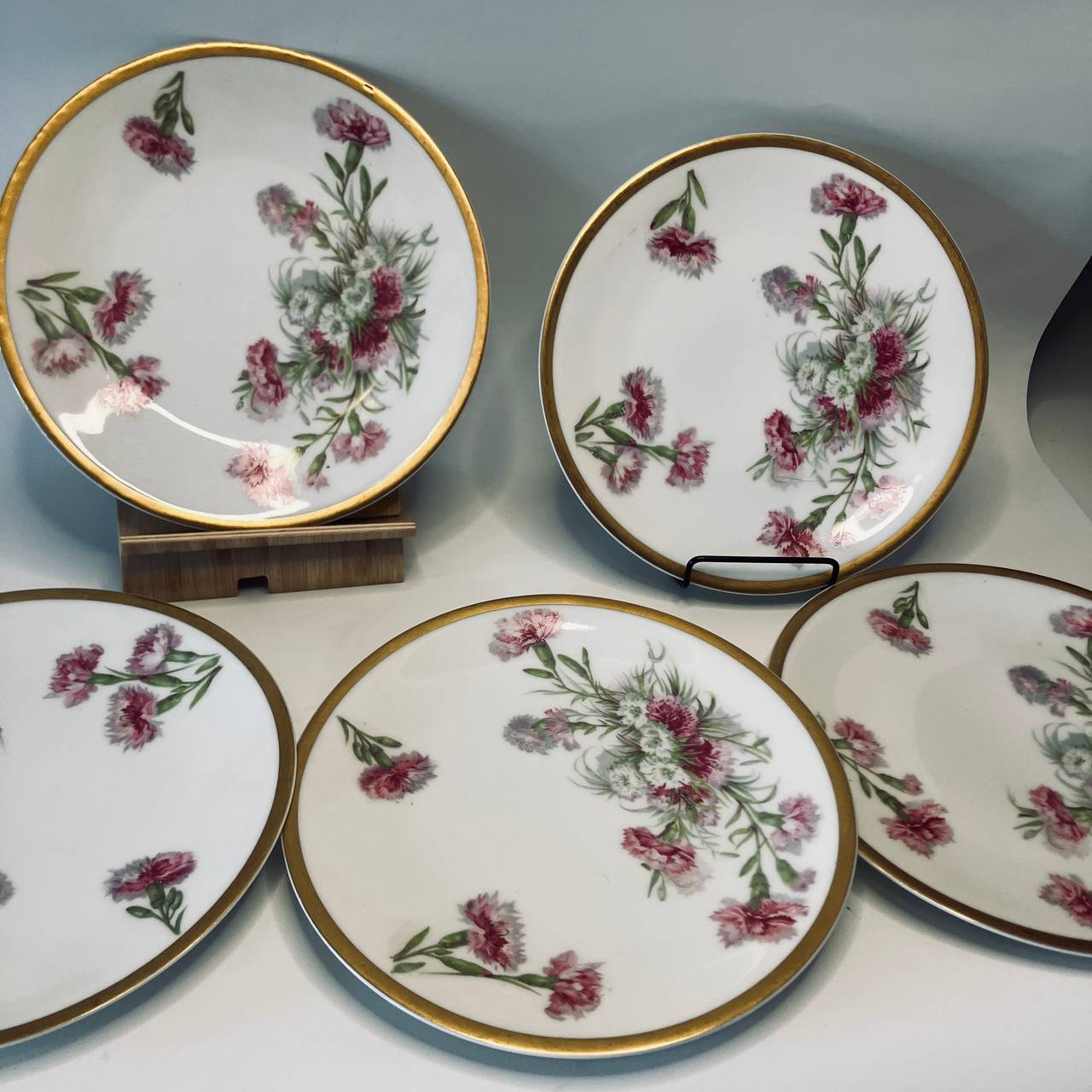 Vintage Floral Porcelain Plates