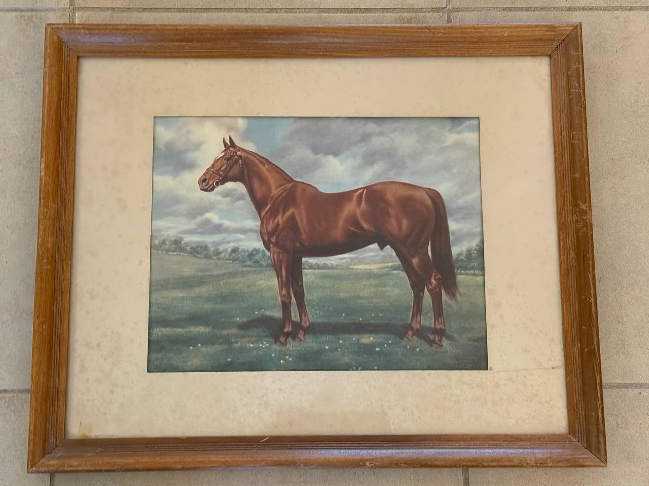 Vintage Framed Horse Lithograph Print