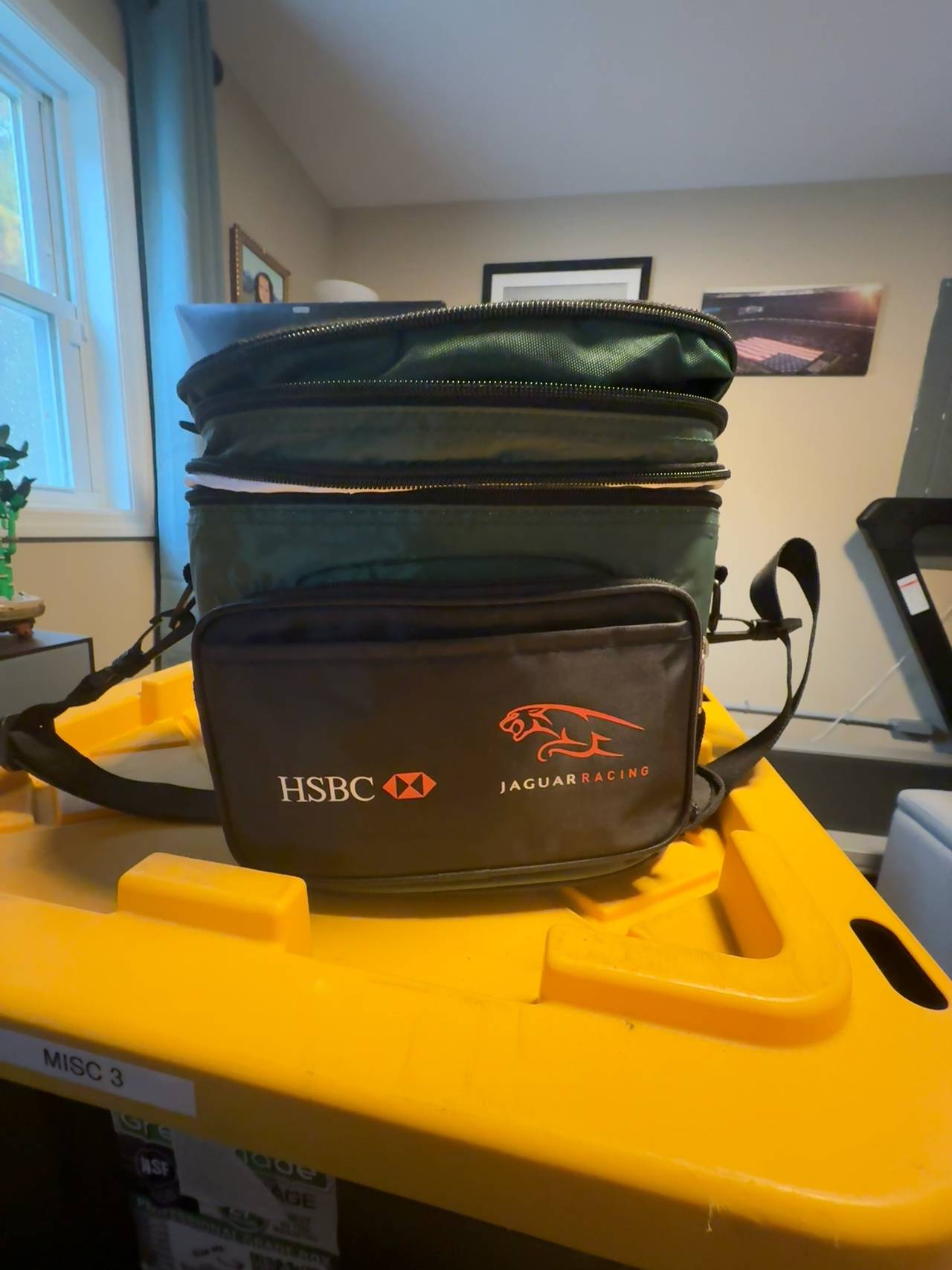 Vintage jaguar racing hsbc banking travel lunchbox insulated cooler