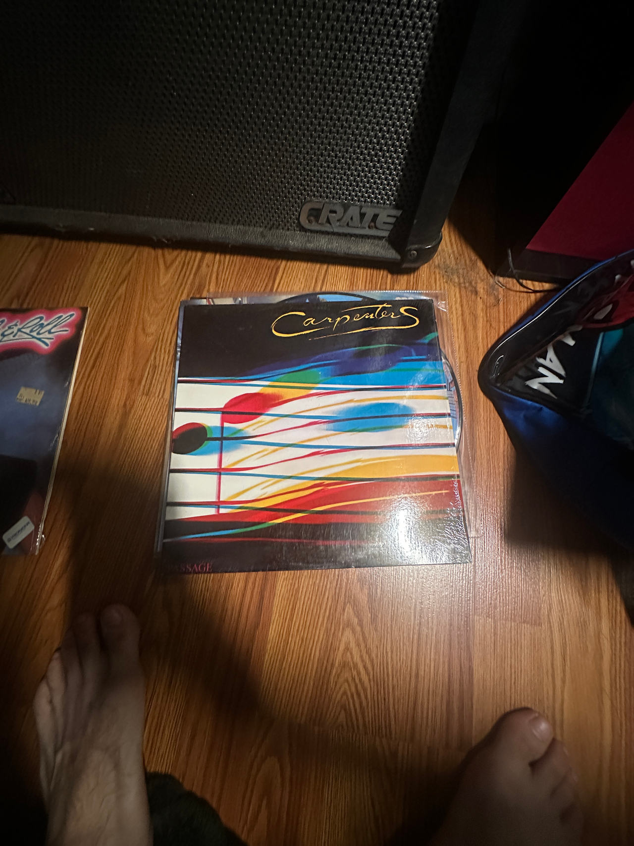 Carpenters - Passage (Vinyl Record)