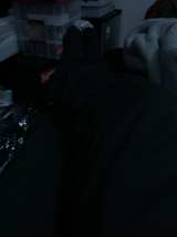 Scentsy Buddy Tigger Plush - Image 2