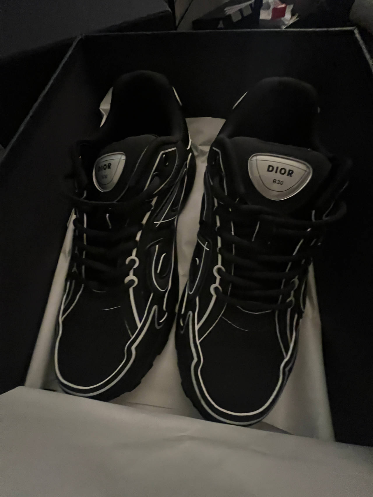 Dior B30 Sneakers
