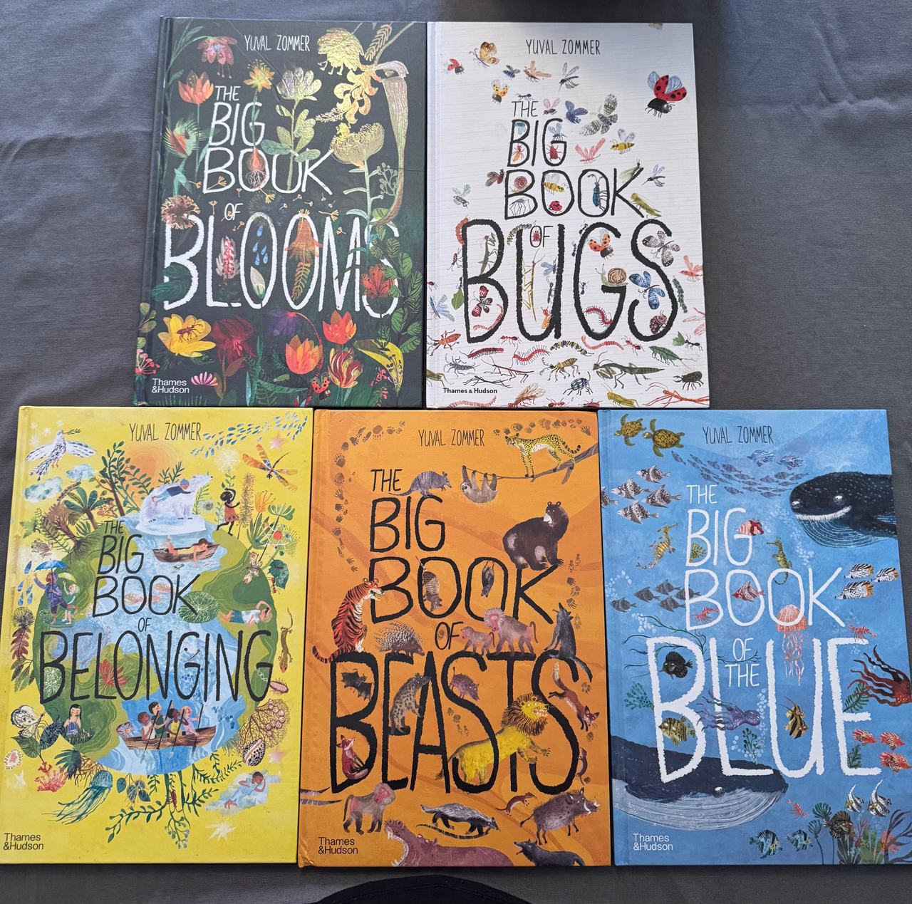 The Big Book Series by Yuval Zommer