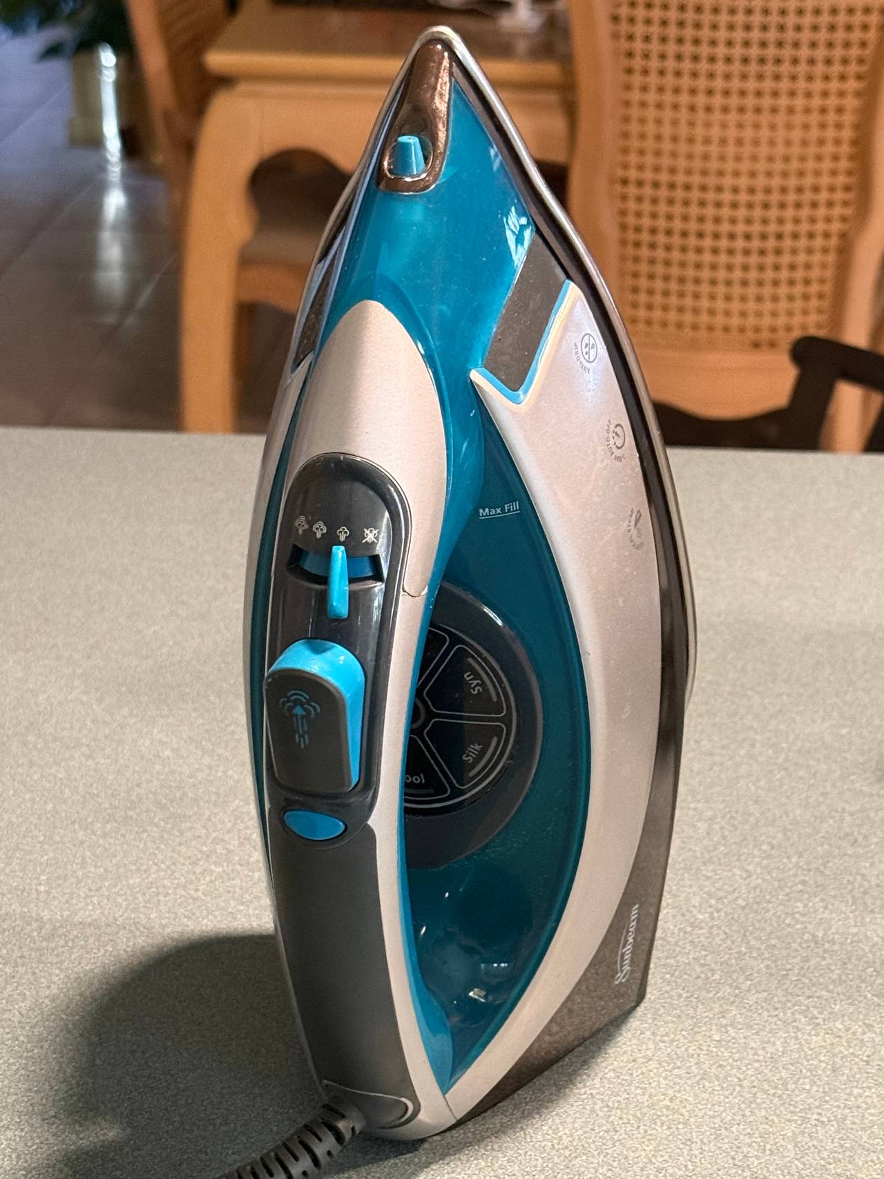 Sunbeam Turbo Steam Master Professional Iron