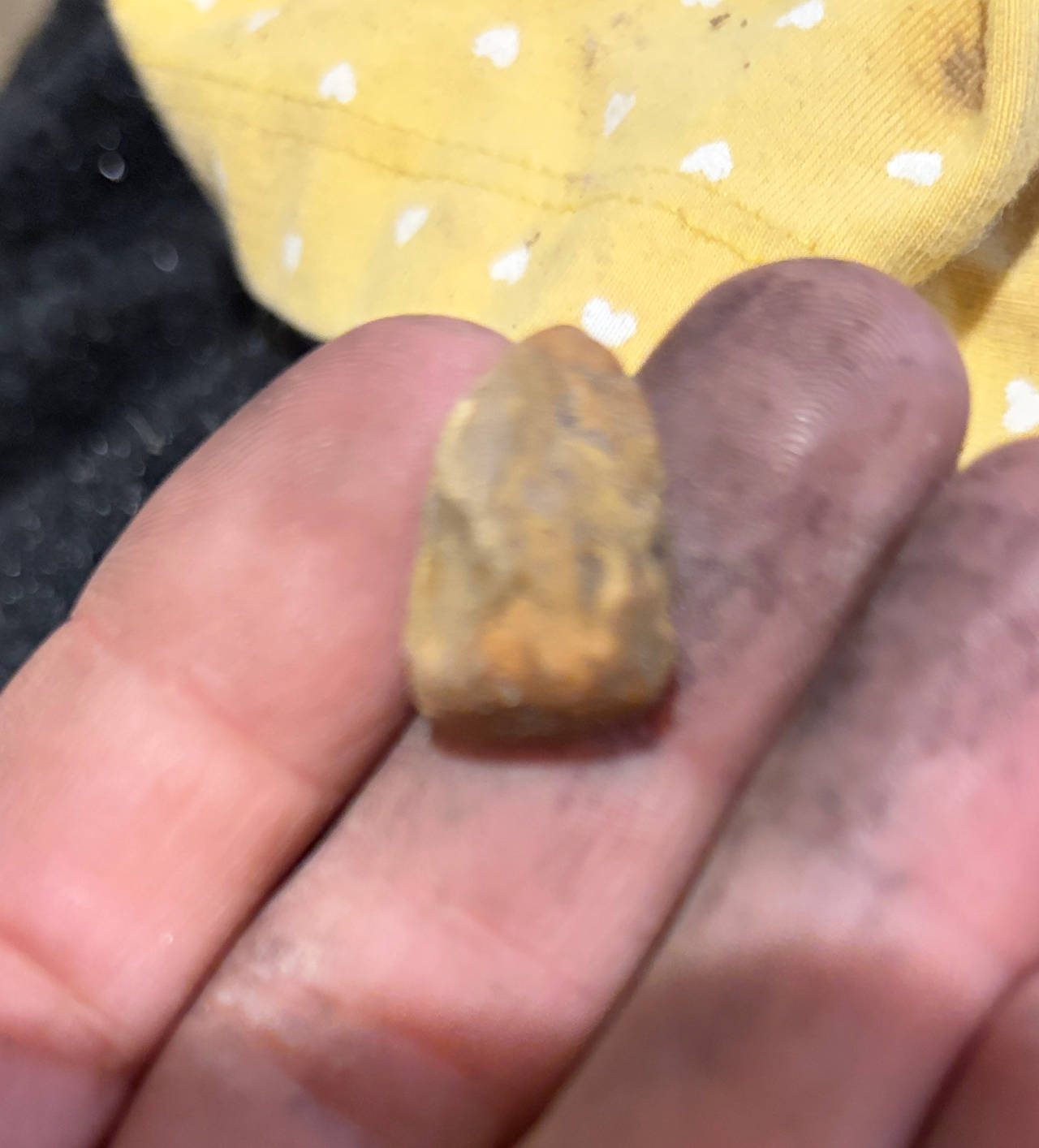 Native American Arrowhead Fragment
