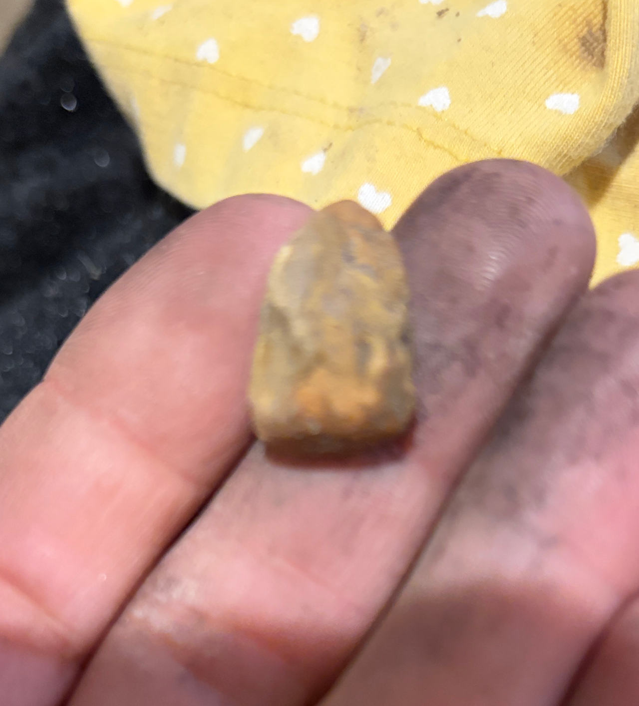 Native American Arrowhead Fragment