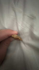 Arrowhead - Image 4