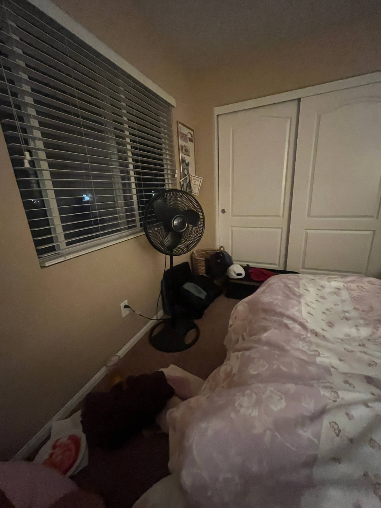 Pedestal Fan