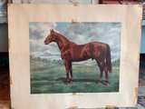 Vintage Framed Horse Lithograph Print - Image 4