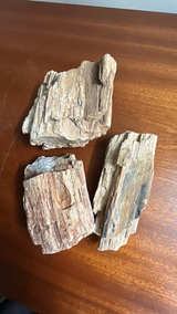 Petrified Wood Fossil Display Piece - Image 3