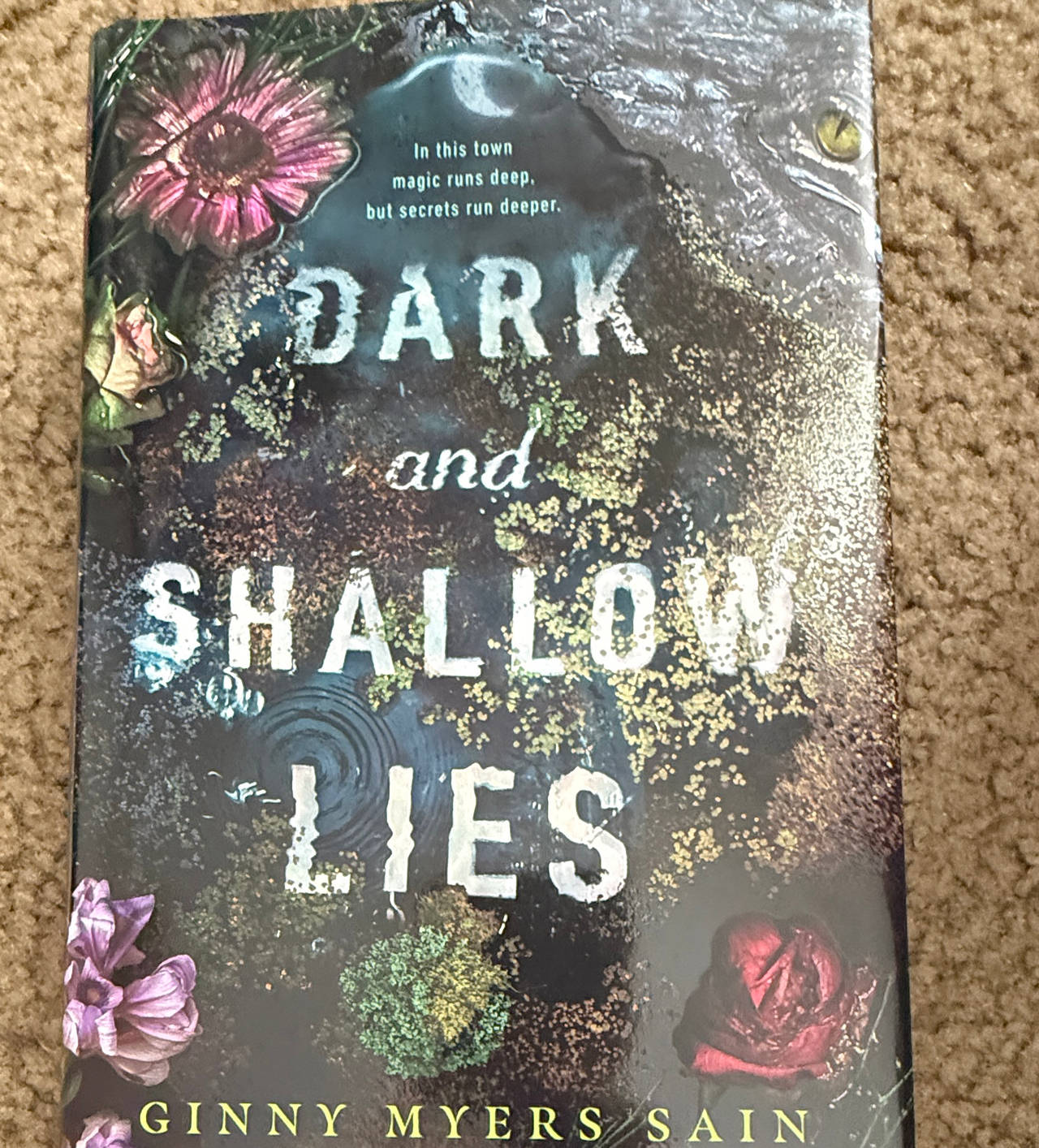 Dark and Shallow Lies by Ginny Myers Sain