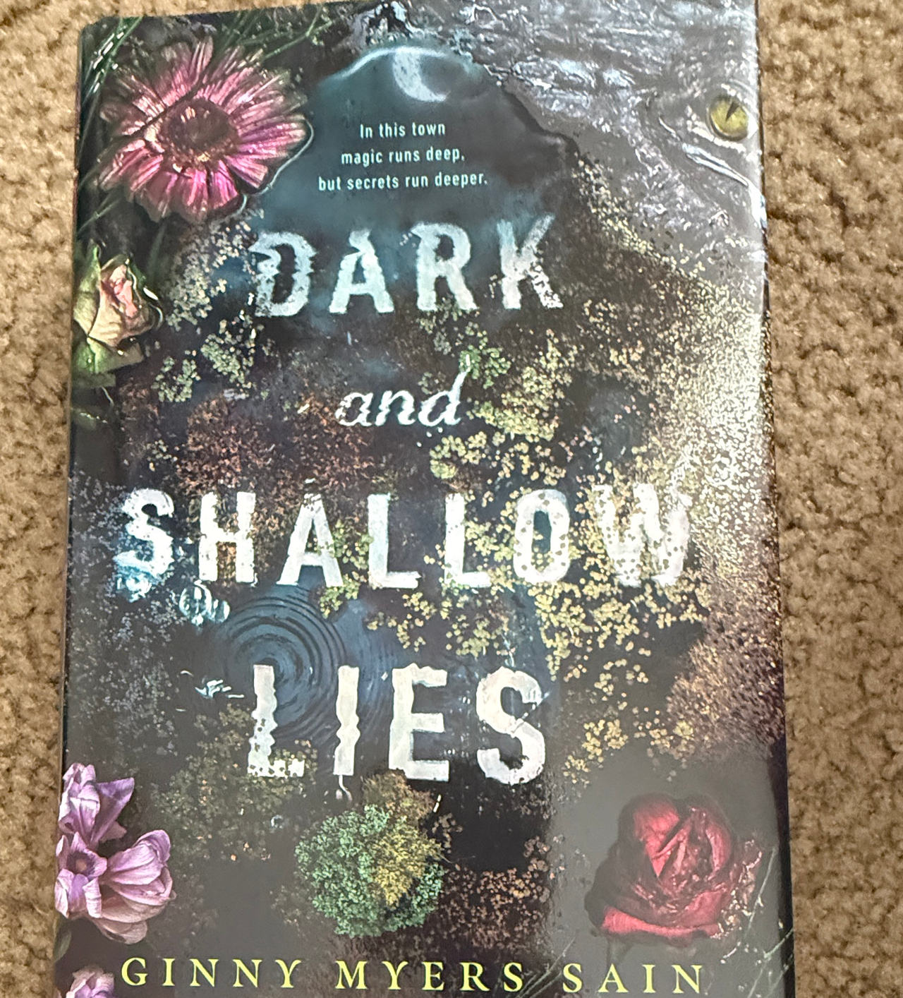 Dark and Shallow Lies by Ginny Myers Sain