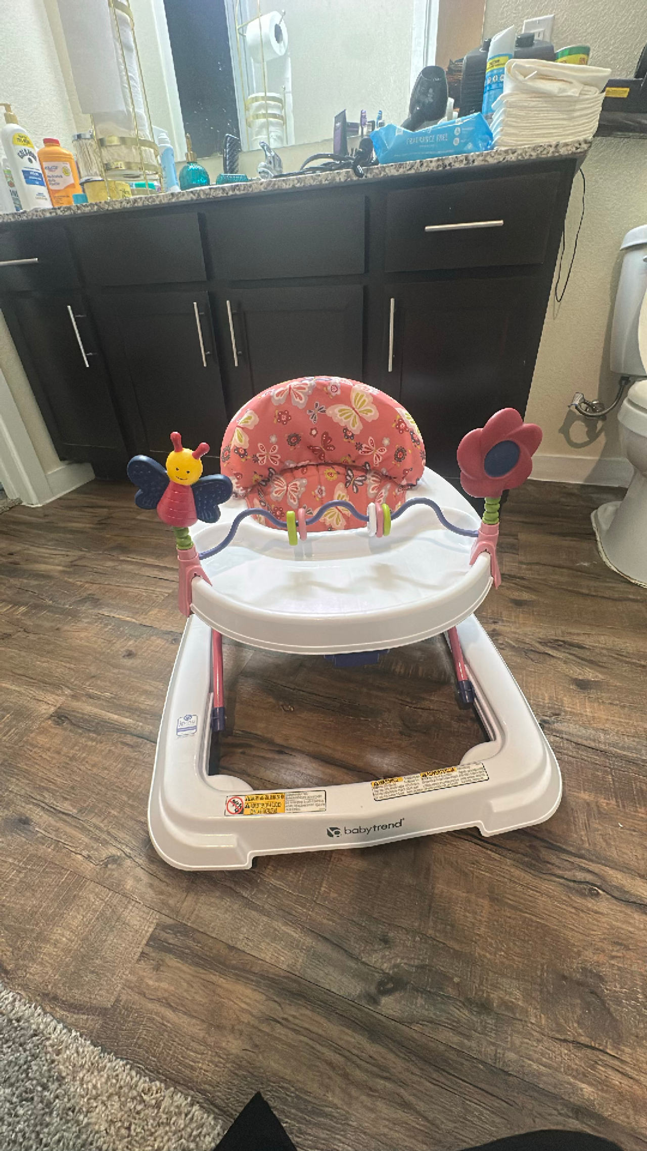 Baby Walker