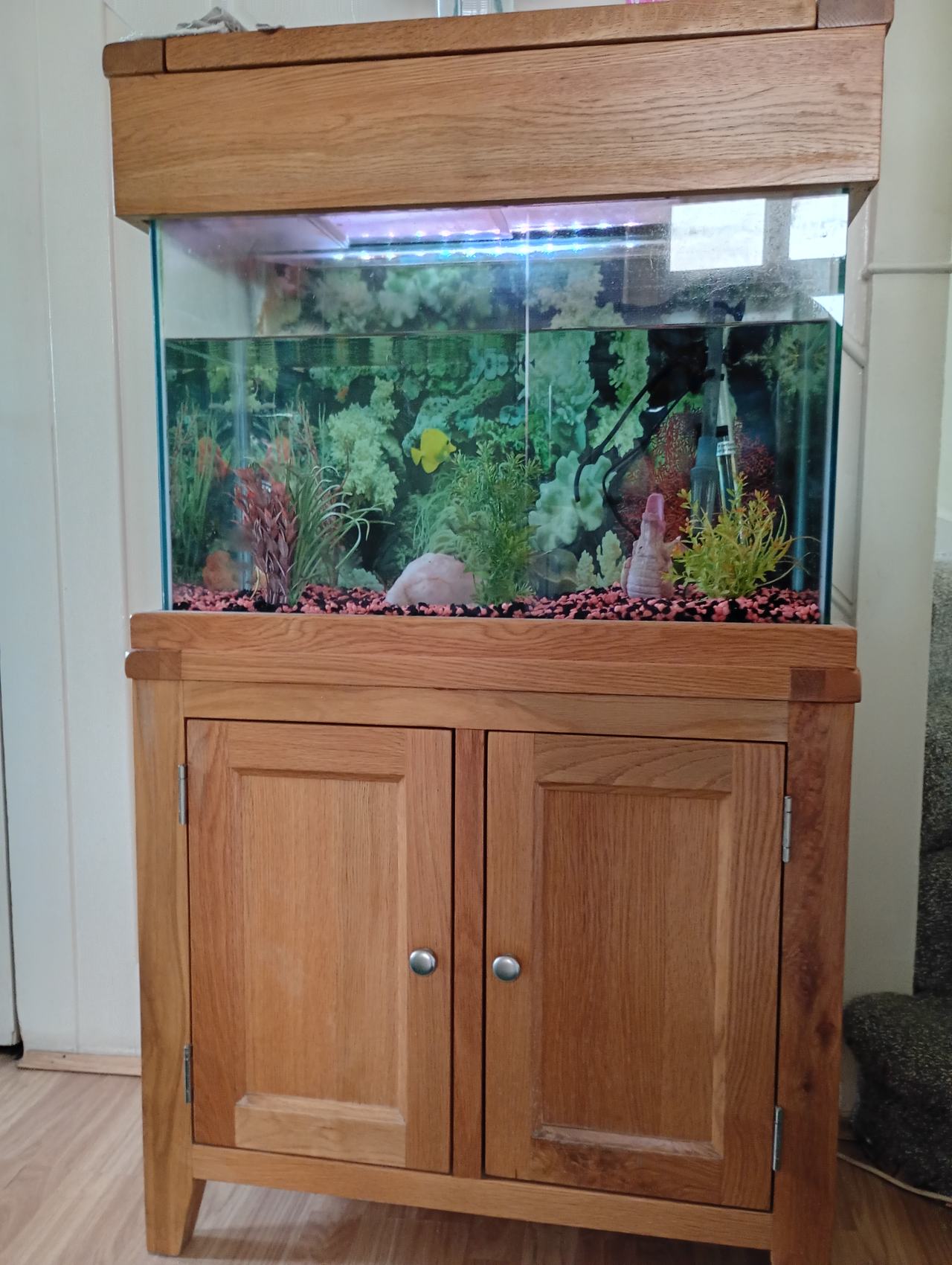 Aqua Oak Aquarium and Cabinet