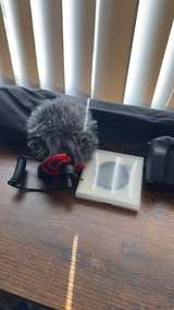 Canon EOS M50 Mirrorless Camera Bundle - Image 8