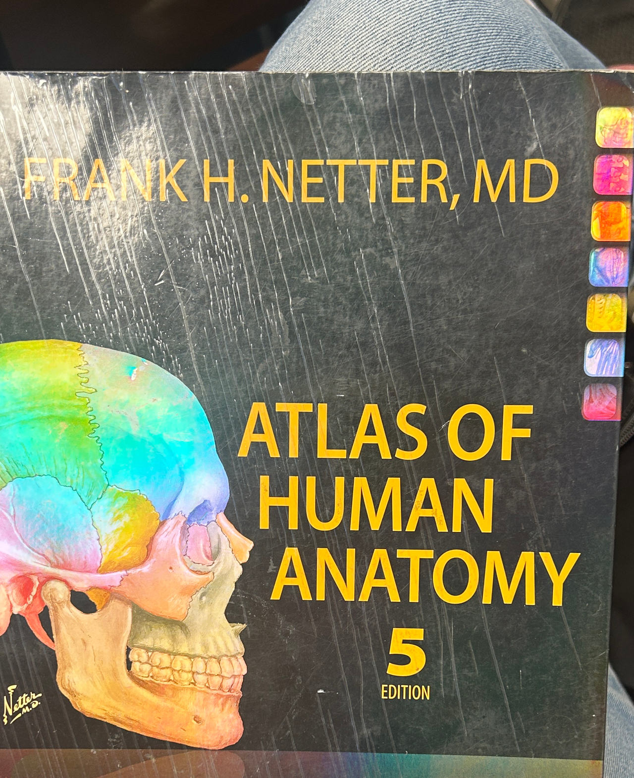 Atlas of Human Anatomy by Frank H. Netter, MD (5th Edition)