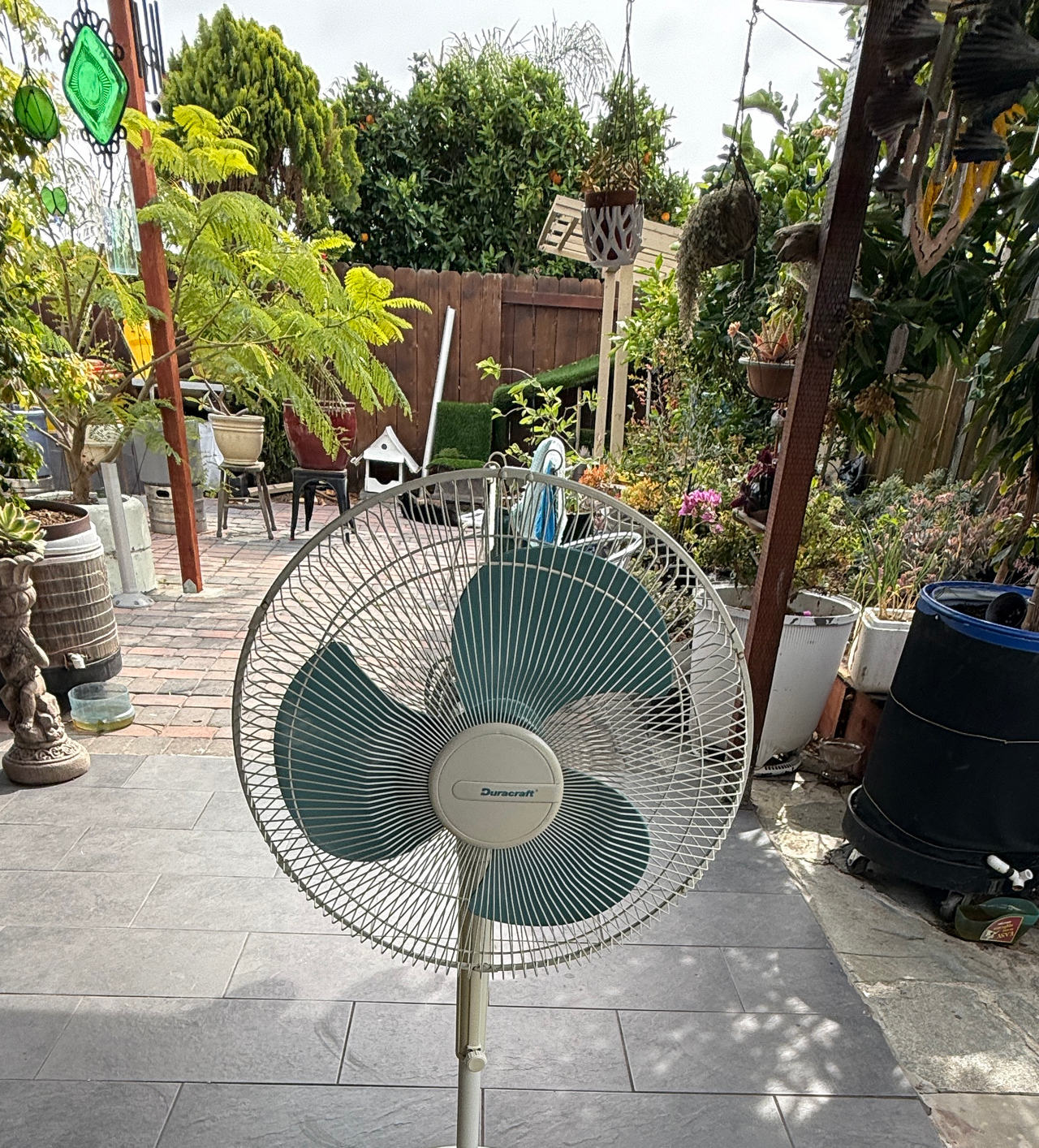 Duracraft Oscillating Pedestal Fan
