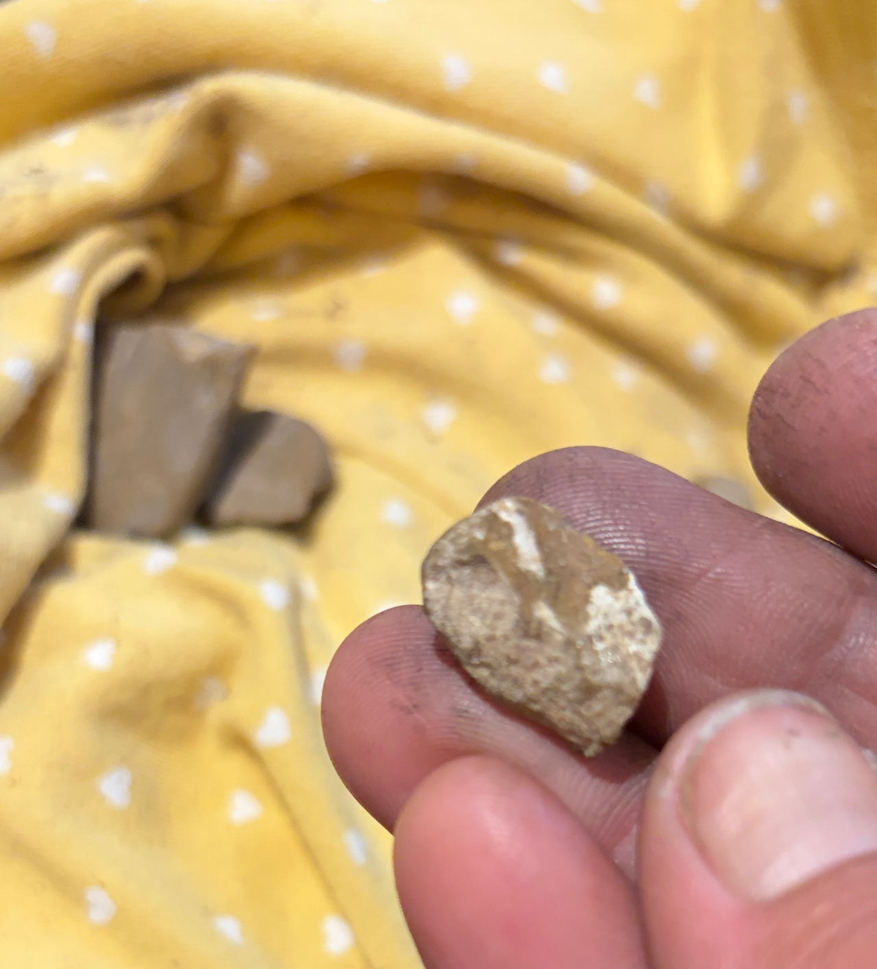 Native American Lithic Flake Artifact