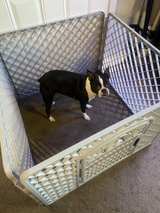 North States MyPet Petyard Passage 6-Panel Dog Playpen with Door - Image 2